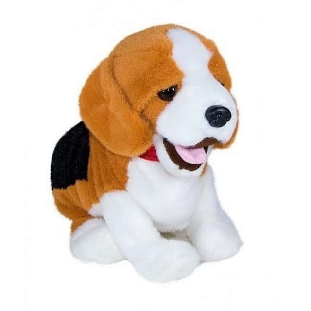 PIES REAGUJĄCY NA KOMENDY BEAGLE – zdjęcie 1