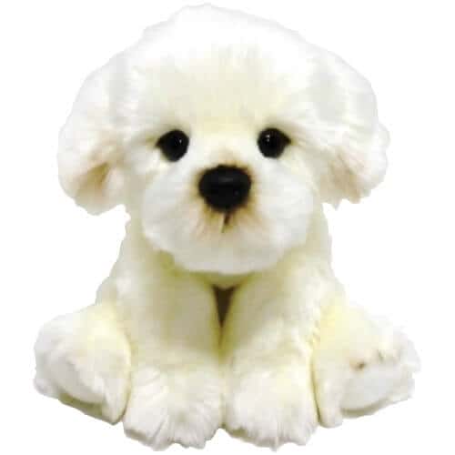 FLUFFY FAM PIES BICHON – zdjęcie 1