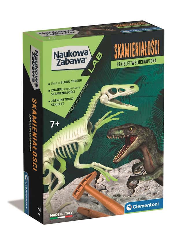 WELOCIRAPTOR FLUORESCENCYJNY  – zdjęcie 1