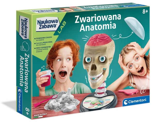 Anatomia  – zdjęcie 1