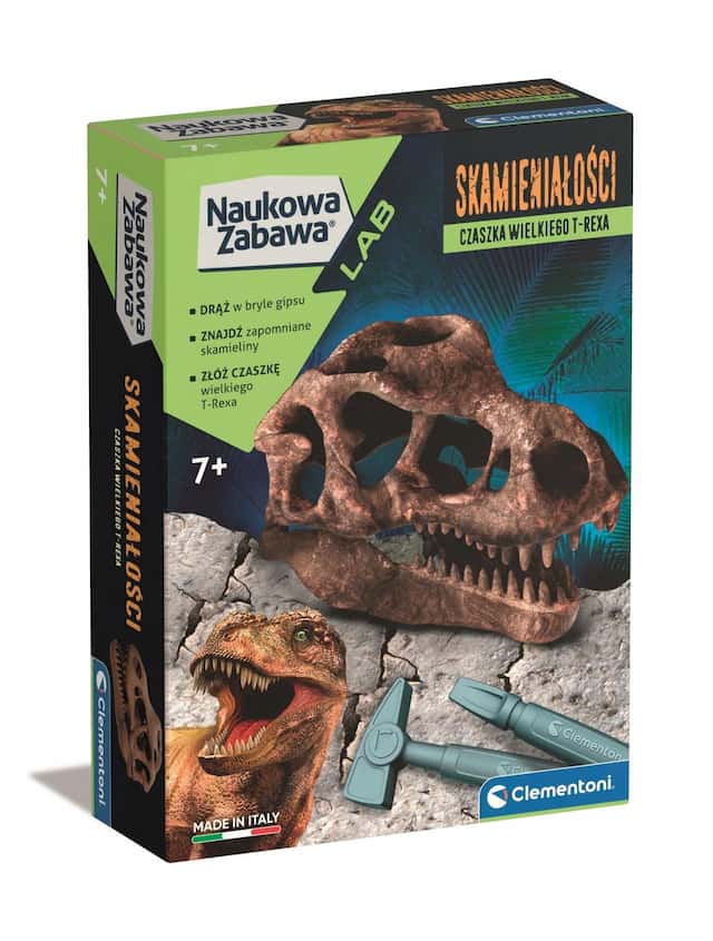 Skamieniałości czaszka T-Rexa