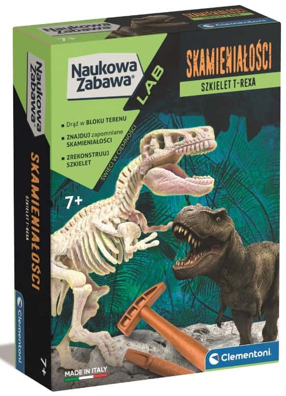 Skamieniałości T-Rex fluo – zdjęcie 1