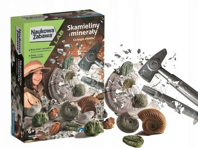 Skamieliny i mineraly Skamieniałości Clementoni – zdjęcie 1