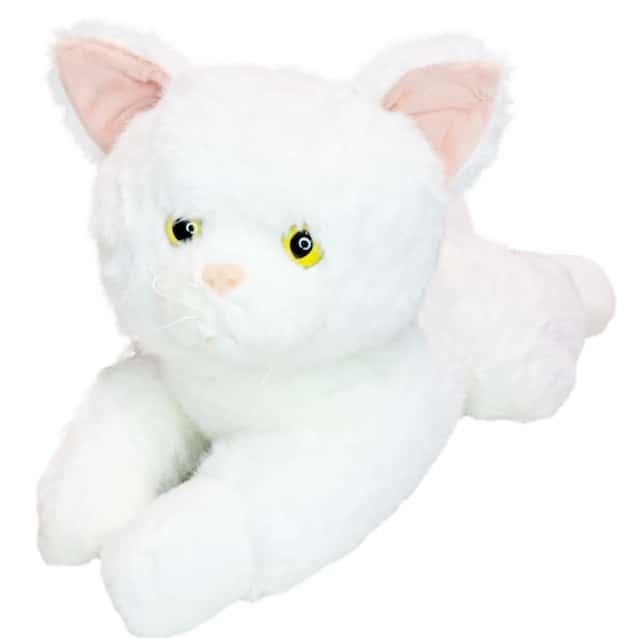 Olbrzymi kot 55 cm – zdjęcie 1