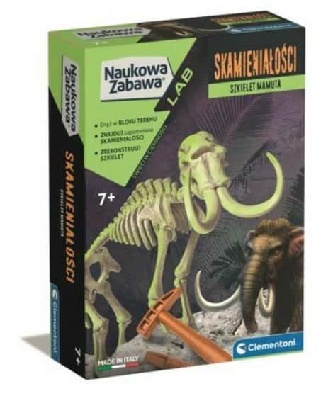 Skamienialości szkielet Mamuta – zdjęcie 1