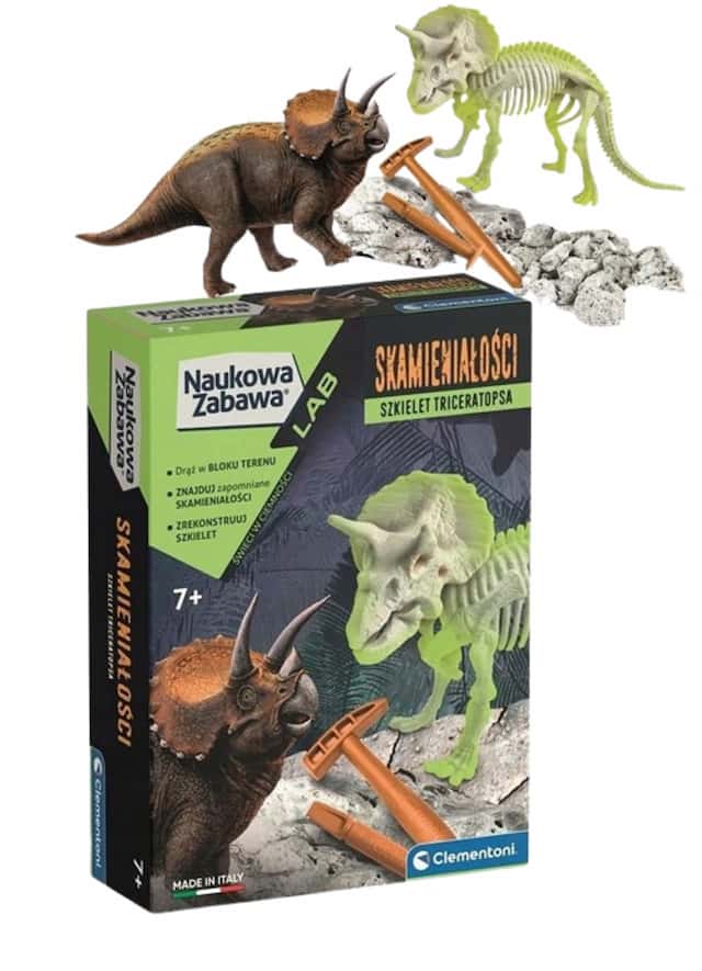 Skamieniałosci Triceratops Fluo – zdjęcie 1