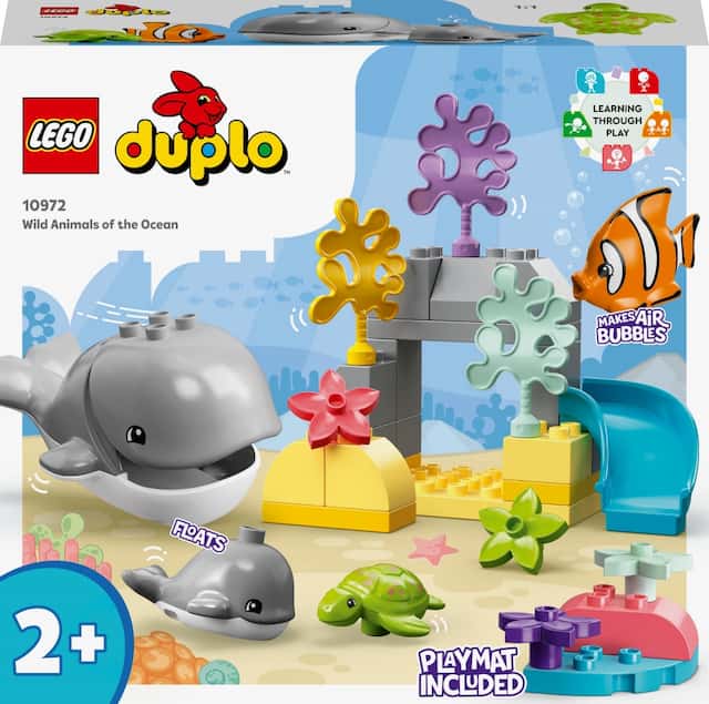 DZIKIE ZWIERZĘTA OCEANÓW – zdjęcie 1