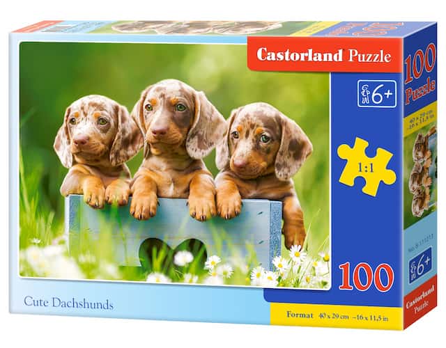 PUZZLE 100 el. Cute Dachshunds – zdjęcie 1