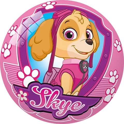 Psi Patrol Skye Piłka Gumowa Dla Dzieci – zdjęcie 1
