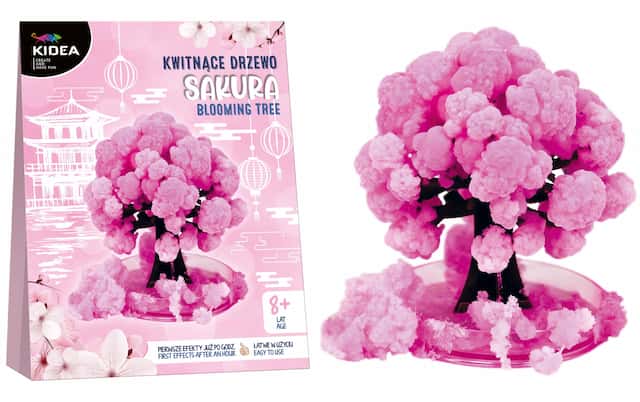 KWITNĄCE DRZEWO SAKURA KIDEA – zdjęcie 1